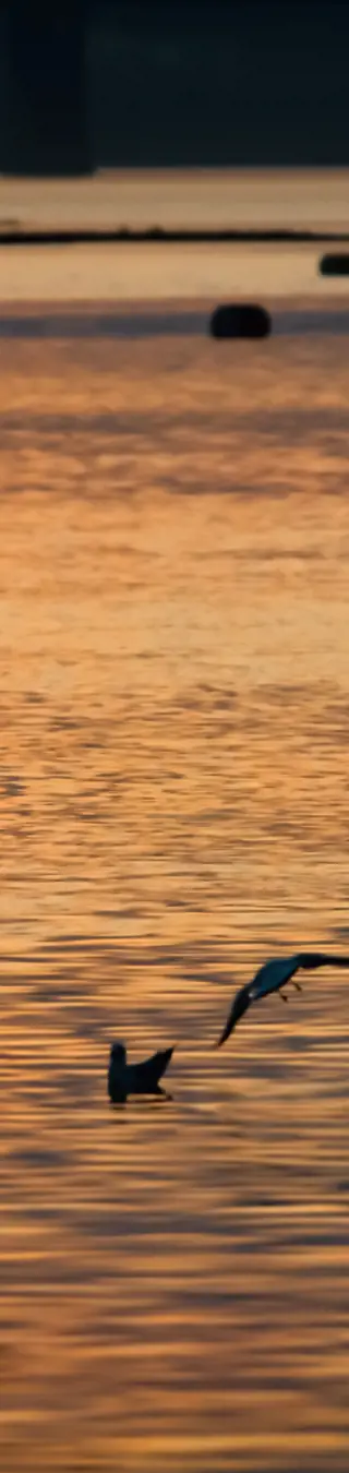 Mit kleinen Flussbooten dem Ganges entlang.